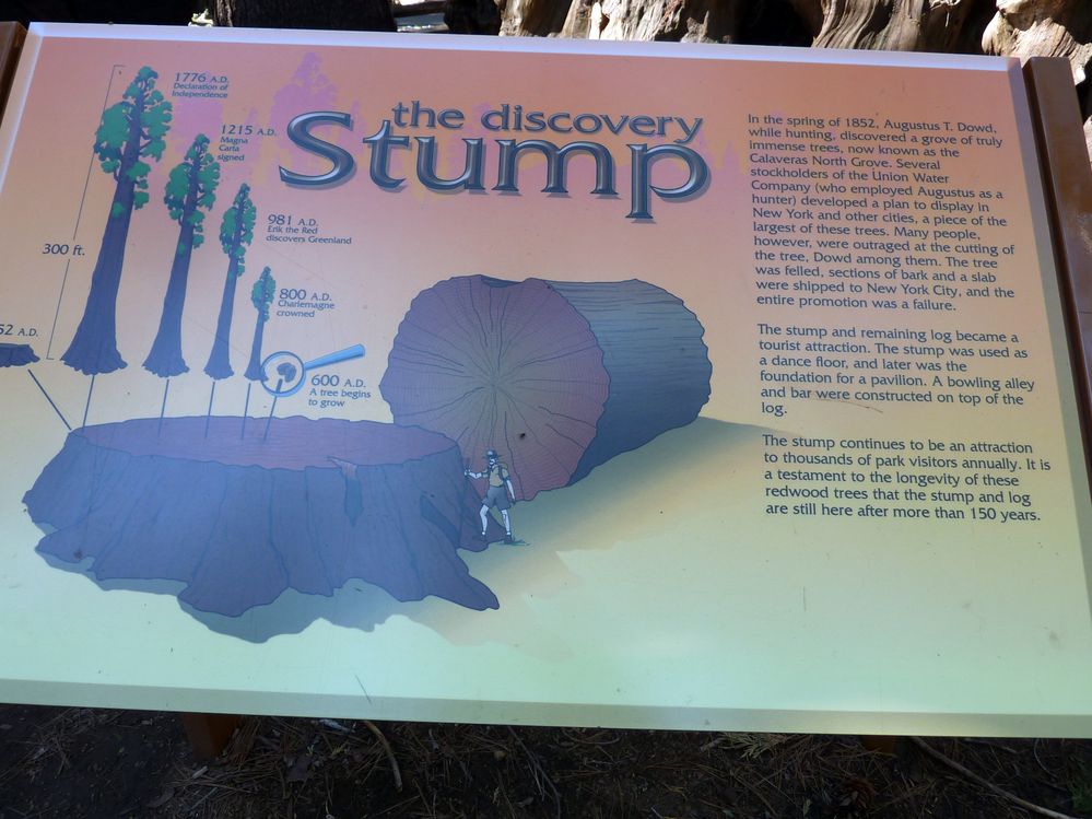 big tree state park (3).JPG